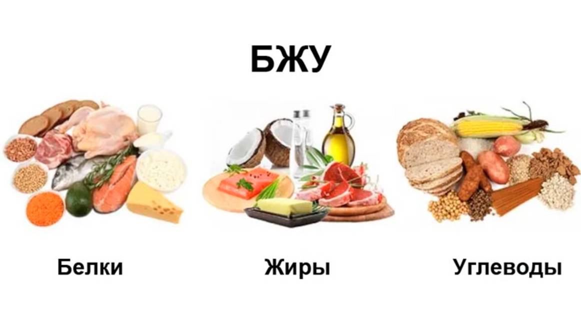 Узнайте, как правильно сочетать белки, жиры и углеводы в повседневном рационе, чтобы улучшить самочувствие, поддерживать вес и быть энергичным весь день.